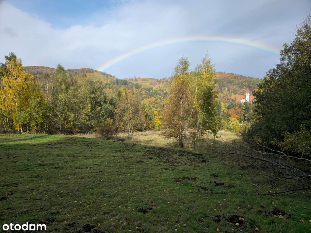 4 Działki przy lesie z widokiem na Góry Sowie-9