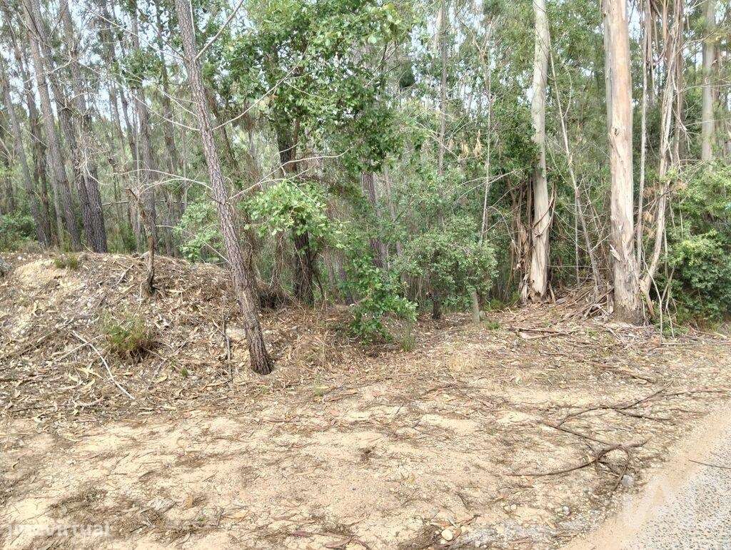 Terreno em Chãos de 1480,00 m2 - Grande imagem: 4/23