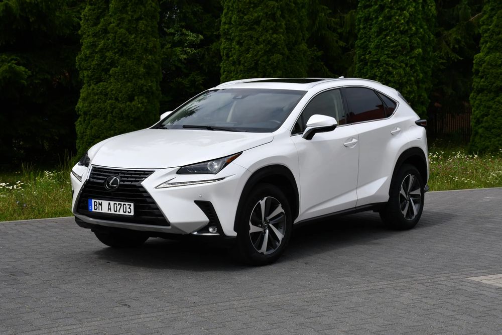 Lexus NX I (2014-2021) 300 Prestige AWD 2019