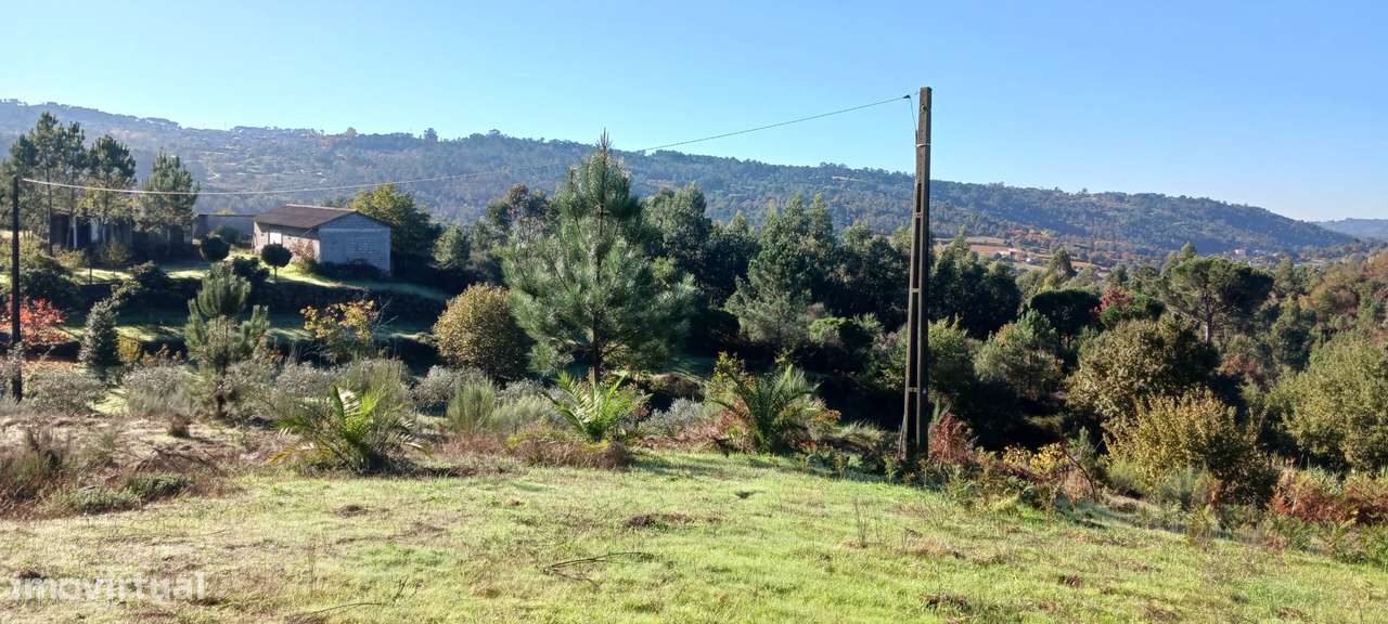 Fantástica Quinta nas Encostas do Rio Dão - Grande imagem: 4/17