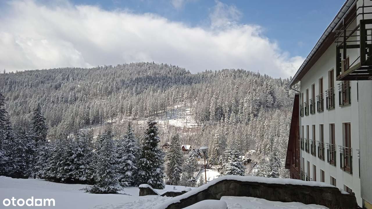 Inwestycja apartamentowo-pensjonatowa-3