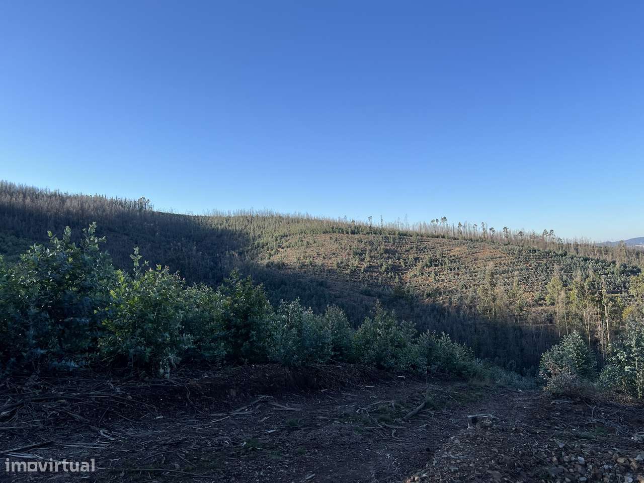 TERRENO RÚSTICO - Grande imagem: 4/7