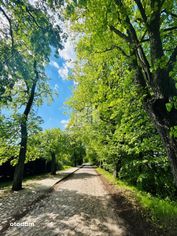 Działki budowlane pod lasem Natura 2000, Rzędziny