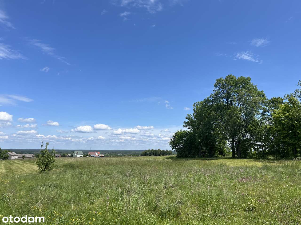 Działka 800m2 na sprzedaż Kapałów, zalew Sielpia, Antoniów-5