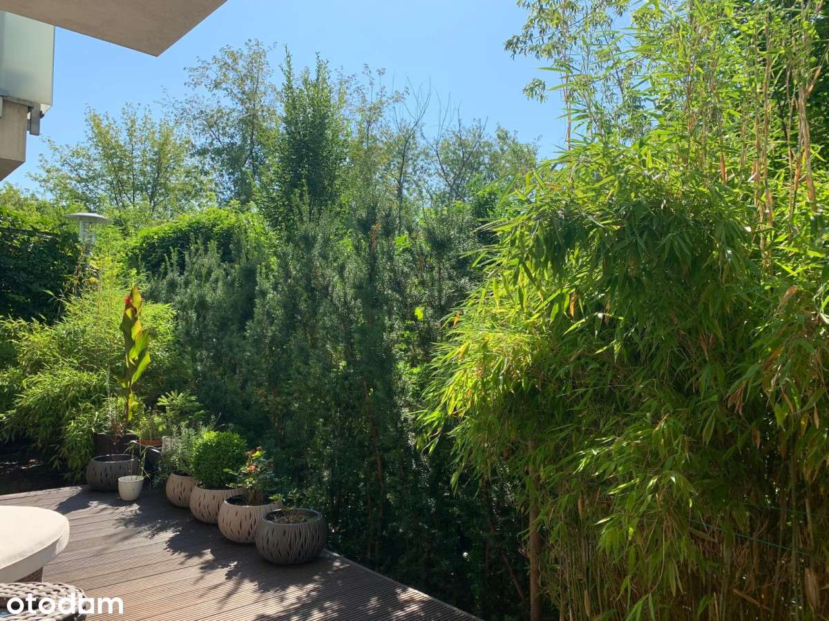 3-4 pokoje | 115 m2 | ogród 143 m2 | Mokotów-13