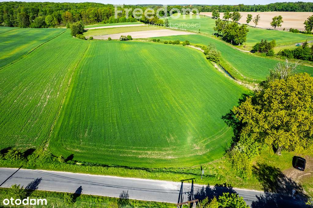 Działka na sprzedaż Ząbrowo - Pełny obrazek: 5/11