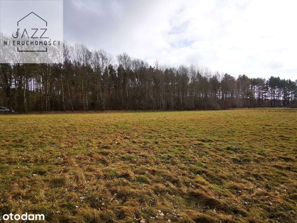 Działka usługowa w Sasinie 3500m2-8