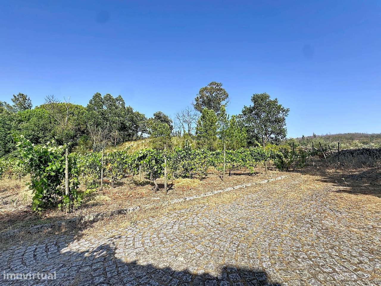 Moradia Térrea com Vista Panorâmica e 4.500 m² de Terreno | Vila Cova,-57