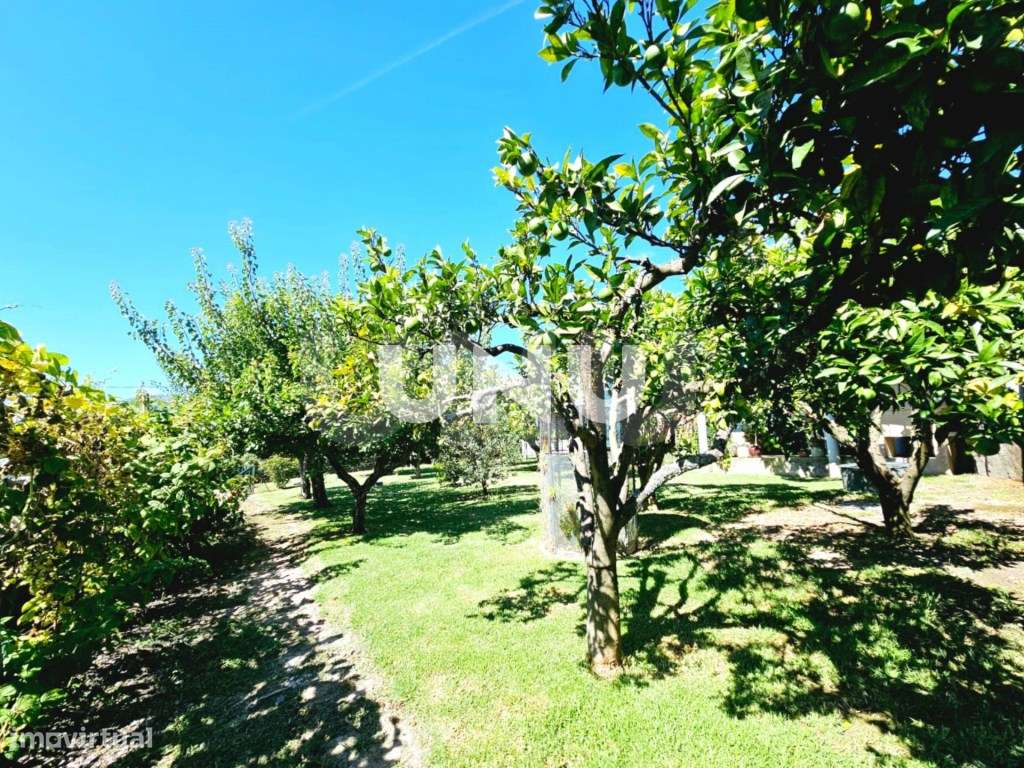 Moradia Isolada T4 - Fantástica Exposição Solar-36