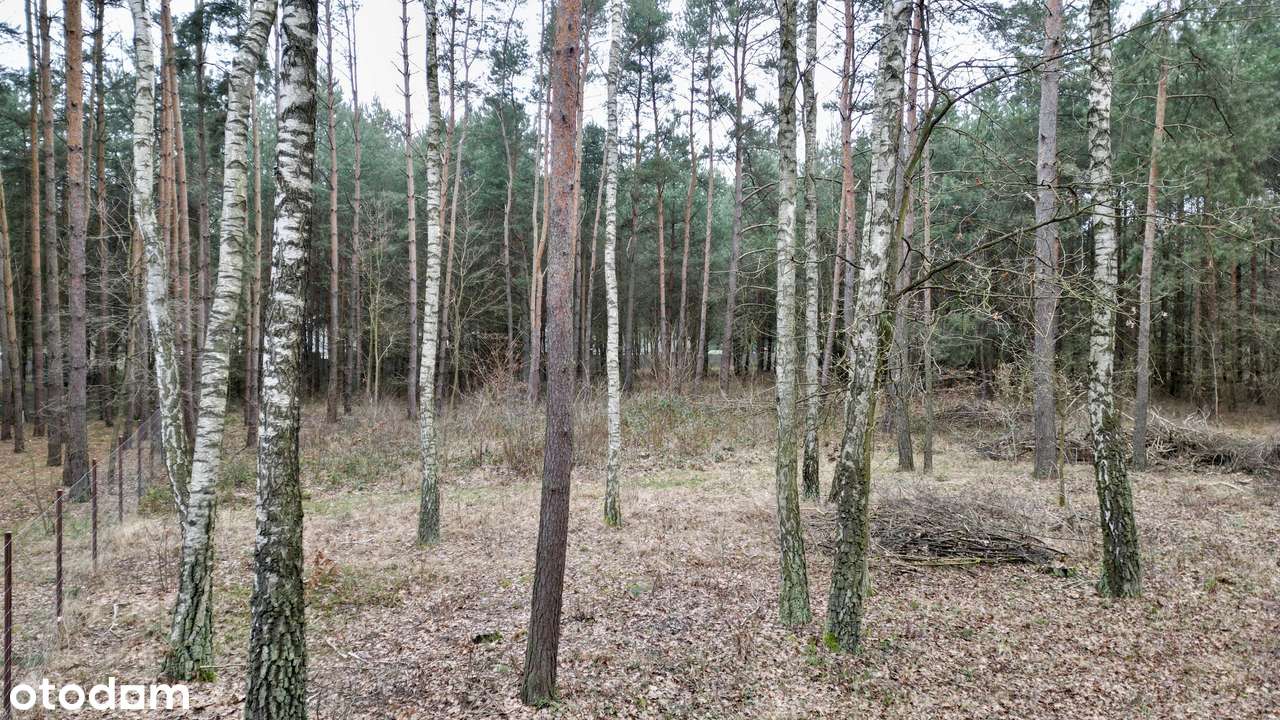 Urokliwa działka z wz na dom całoroczny, Zalew Cieszanowiski-bez %-7