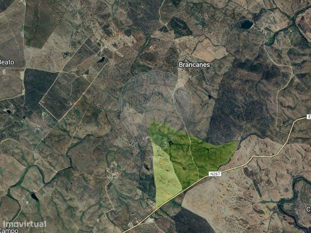 Quinta T4 para venda - Grande imagem: 4/4