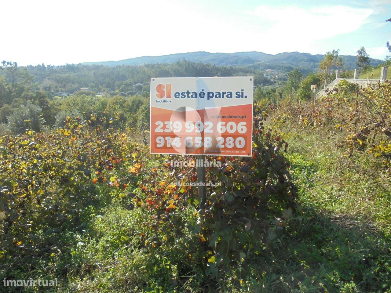 Terreno - Vila Nova de Poiares - Grande imagem: 4/12