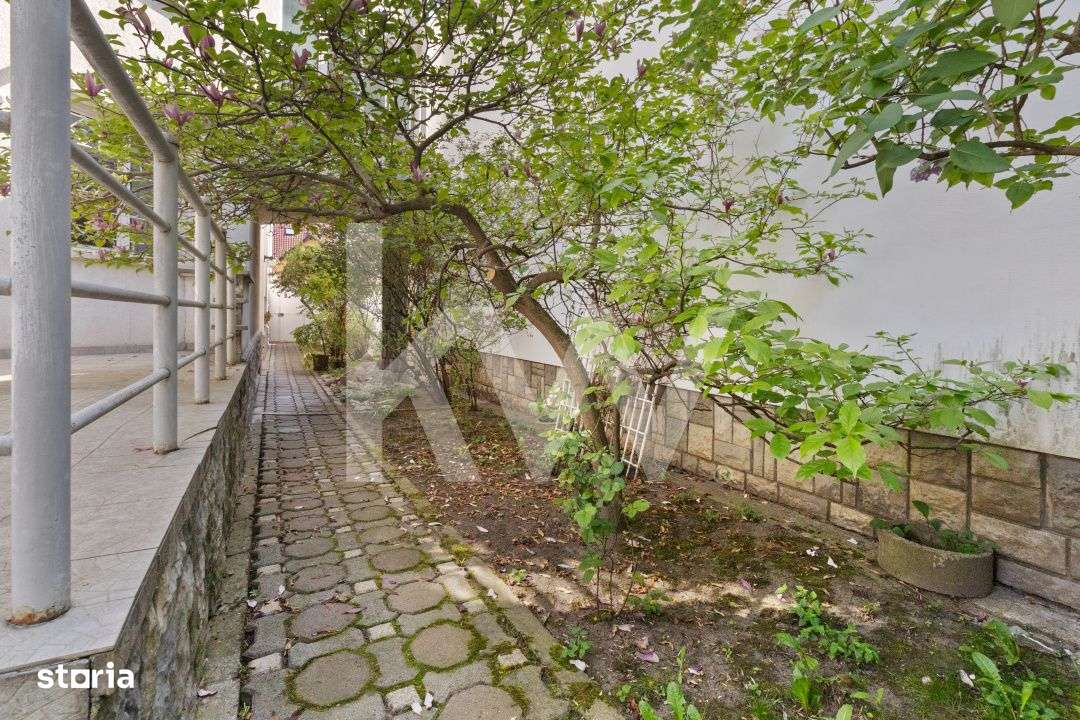 Casa de vanzare in Brasov - singur in curte - 458 mp teren - Imagine principală: 2/19