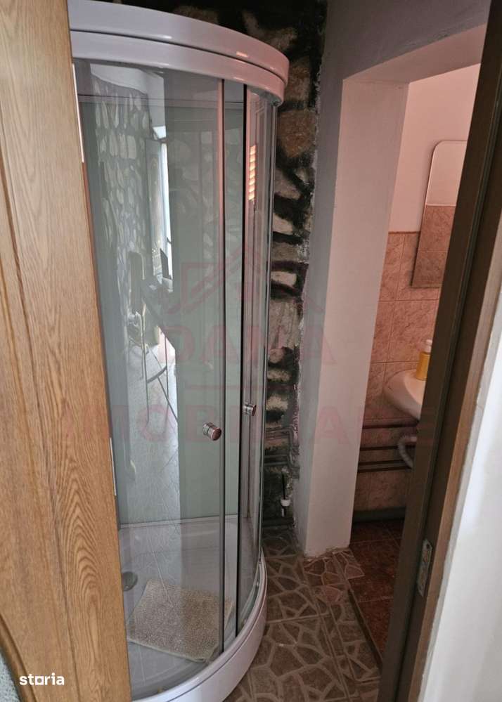 CASĂ DE VÂNZARE ÎN POUANA MĂRULUI,JUD. CARAȘ-SEVERIN-12