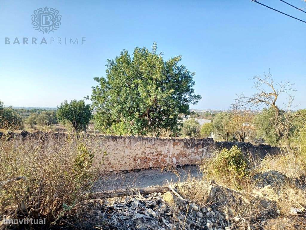 Terreno com PIP para construção de moradia com piscina - Boliqueime - Grande imagem: 5/9