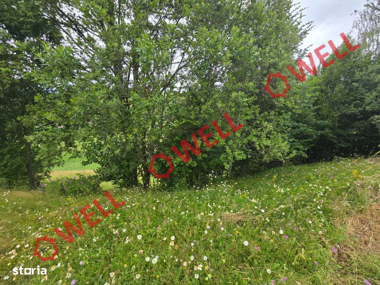 De vânzare teren extravilan loc. Sărămaș! - Imagine principală: 5/9
