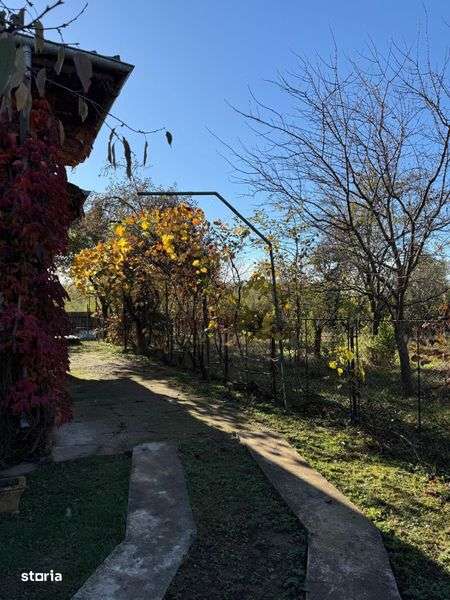 Ciolpani, langa padure - Imagine principală: 4/8