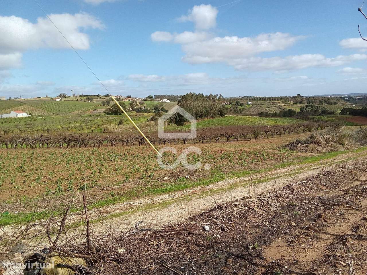 Terreno Rústico para venda com 9360m2 (urbanizável) em Carvalhal, Bomb-7