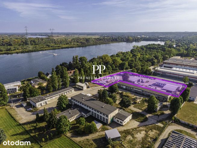 Działka przemysłowa 5112m2/Brdyujście /Biura 320m2