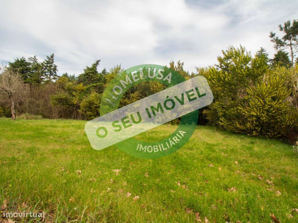 Lote Terreno - Grande imagem: 5/17