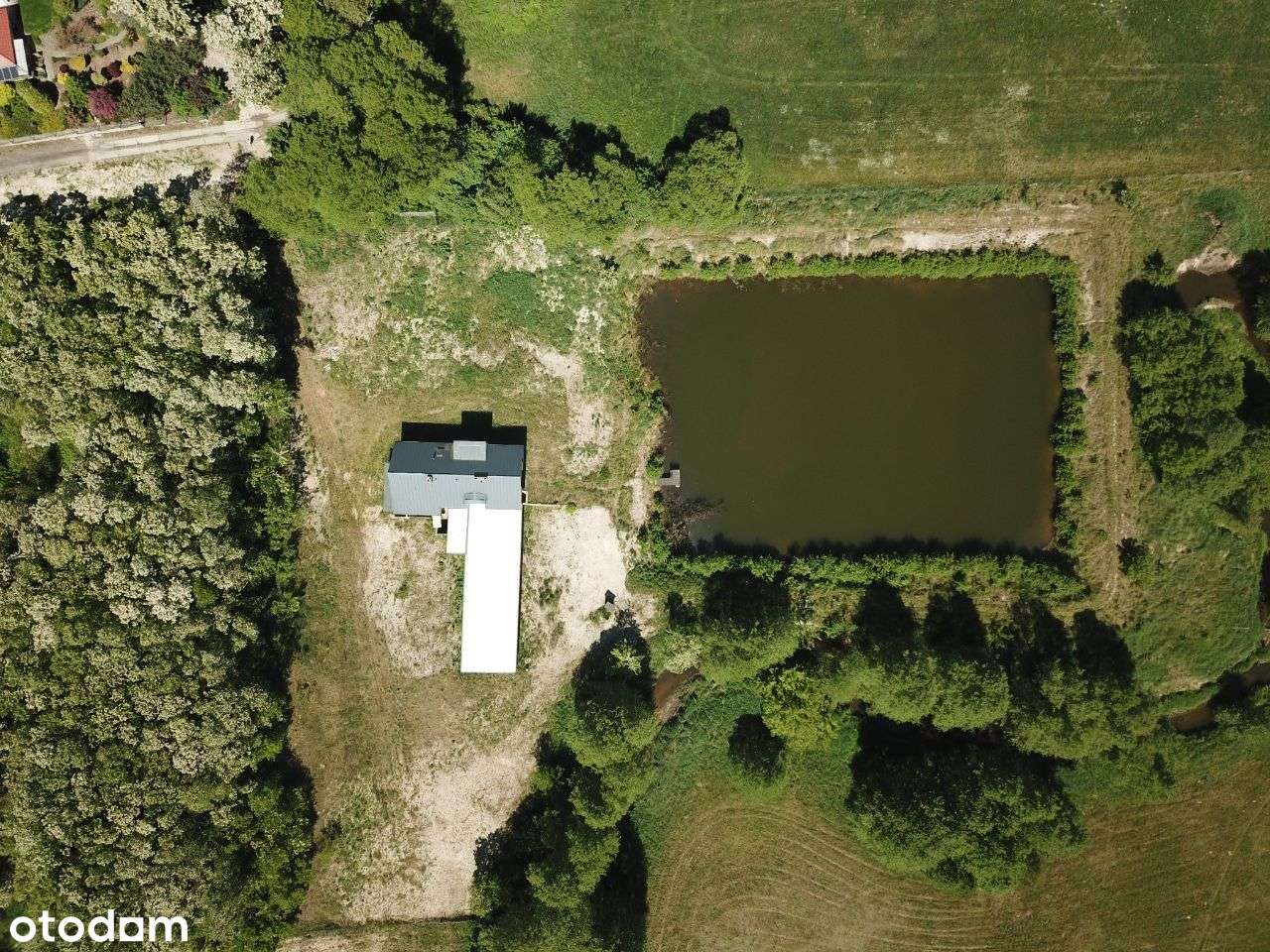 Na sprzedaż dom, staw, działka 1,25ha Stare Miasto-18