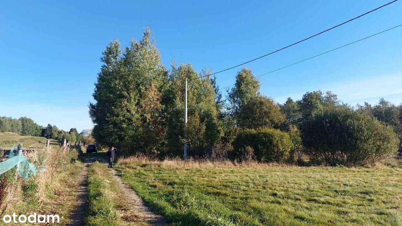 Nieruchomość Leśna 15 km od Kielc Pełna Własność z KW - Pełny obrazek: 4/5