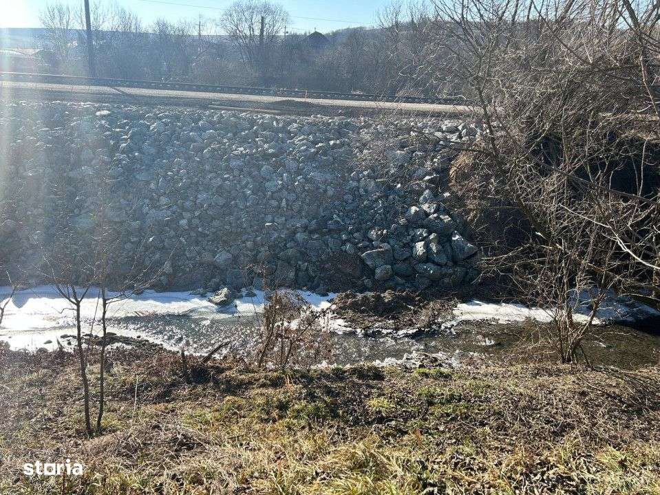 Teren intravilan pentru casa 2400 mp front 16ml Radaia sub pretul piet - Imagine principală: 4/5