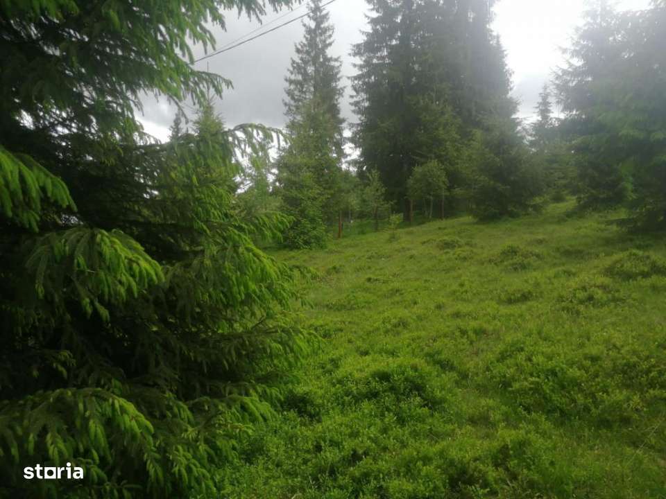 Teren de vanzare Belis1300mp Strada principala Intravilan-0