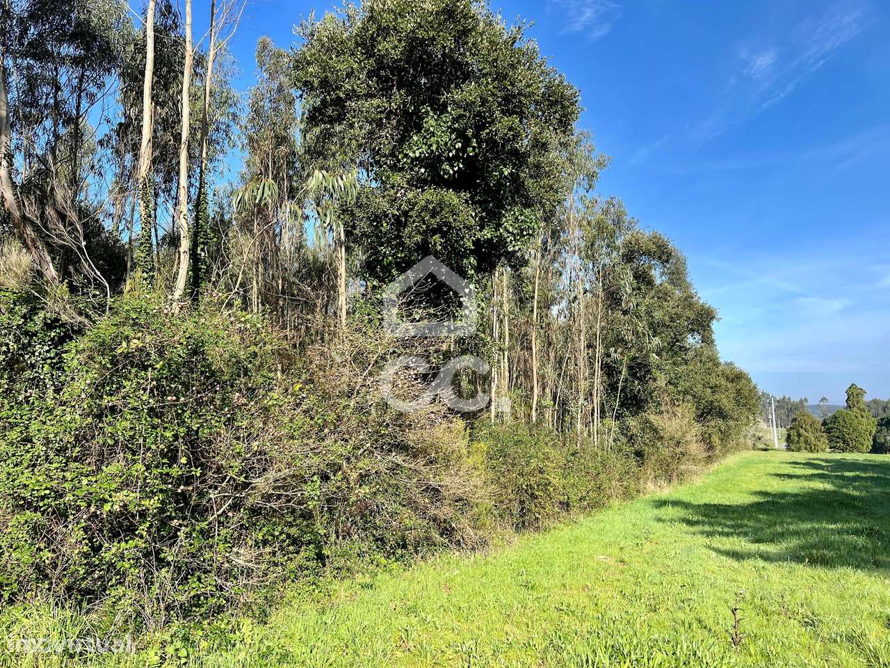 Terreno Misto, Fanadia - Grande imagem: 2/18