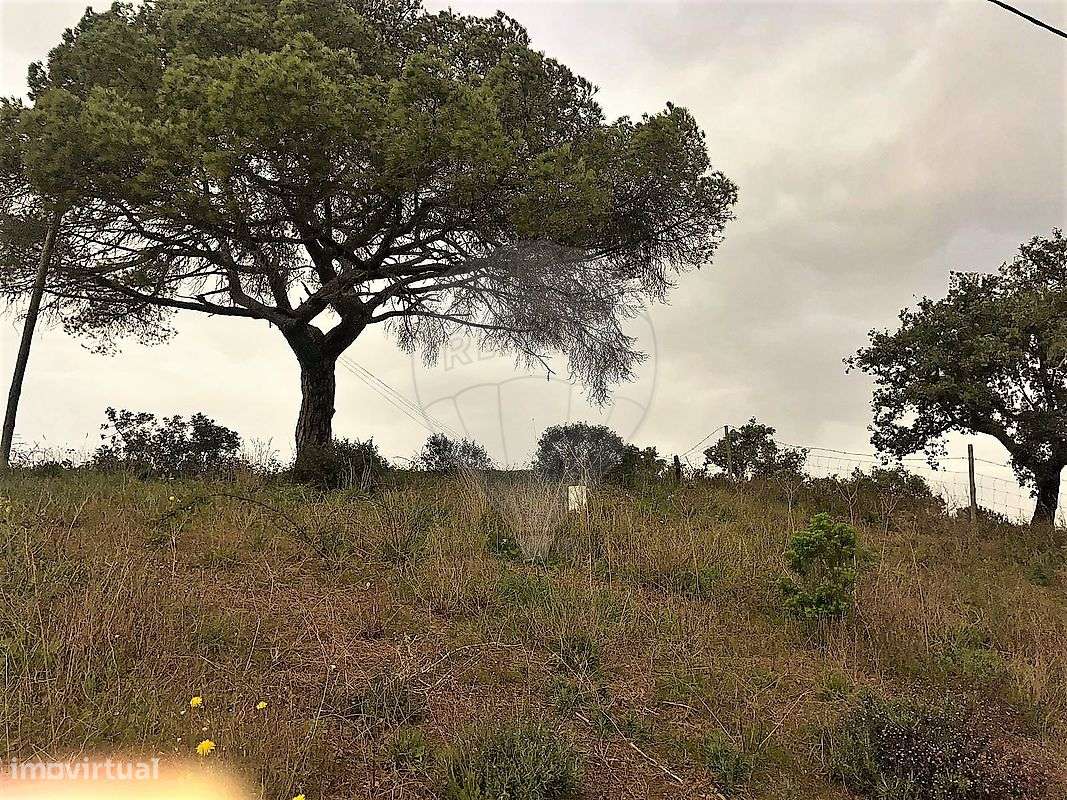 Quinta  para venda - Grande imagem: 5/8