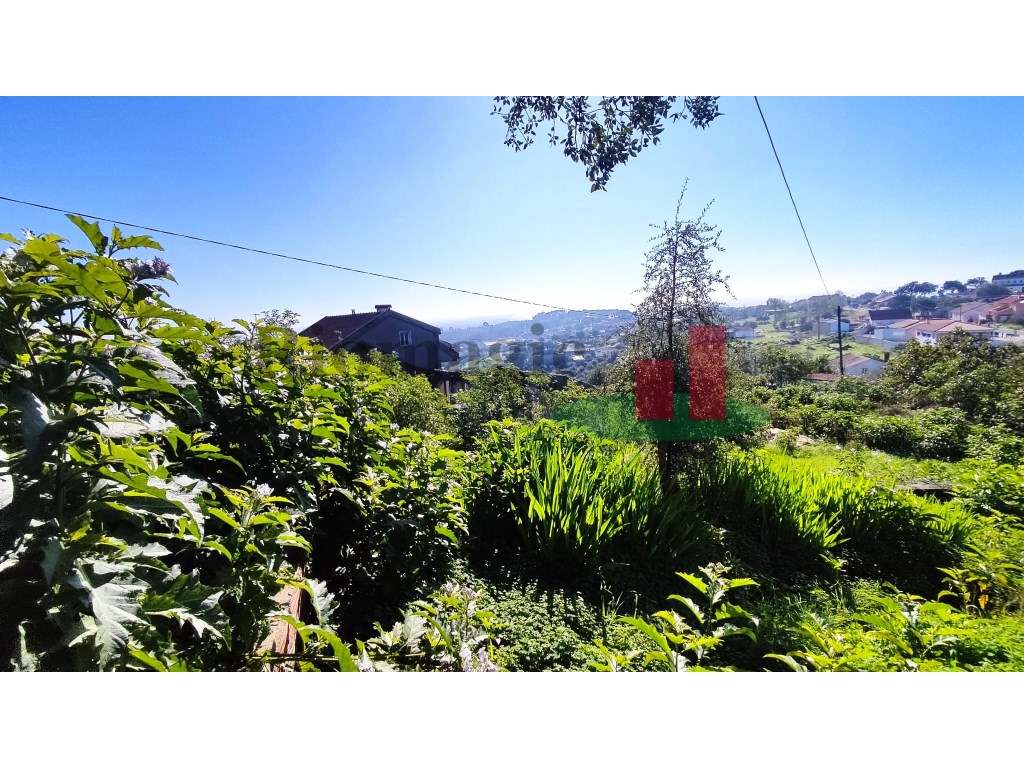 Moradia Vila Nova da Barquinha ***RIOMAGIC*** - Grande imagem: 5/10