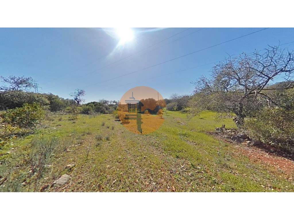 Terreno Rústico - Grande imagem: 3/34