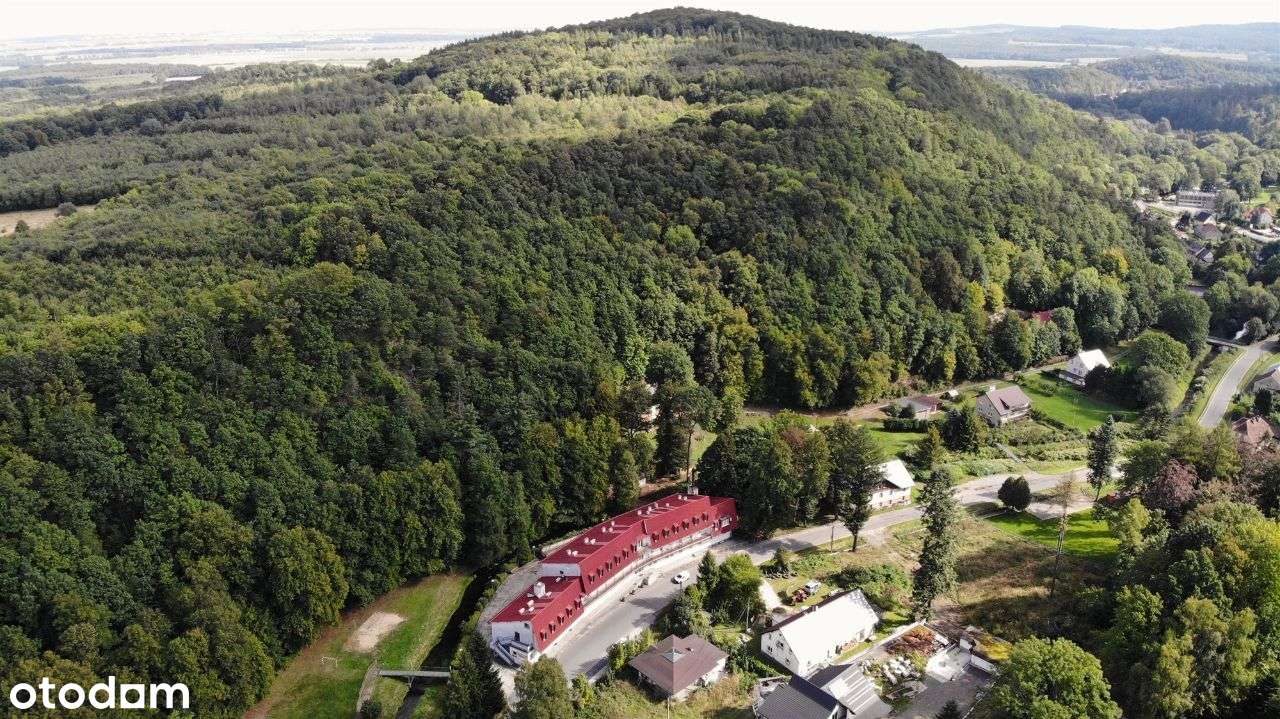 #AtrakcyjnyObiektWypoczynkowy #Hotel #Pensjonat# - Pełny obrazek: 4/20