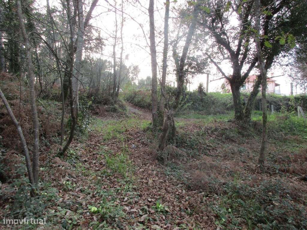 Terreno c/ 1300 m2 em Fornelos - Grande imagem: 3/6