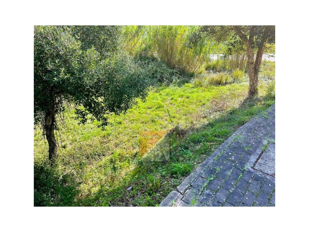 Terreno Barosa Leiria-9