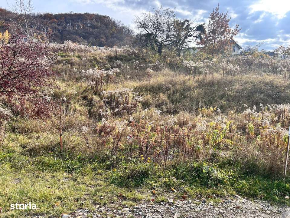 Teren extravilan-Valea Ghinzi-500mp- 2500 euro ar-4