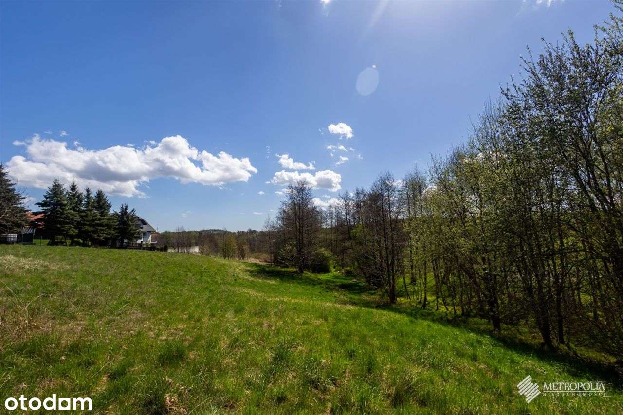 Działka, 3 750 m², Bochnia - Pełny obrazek: 5/13