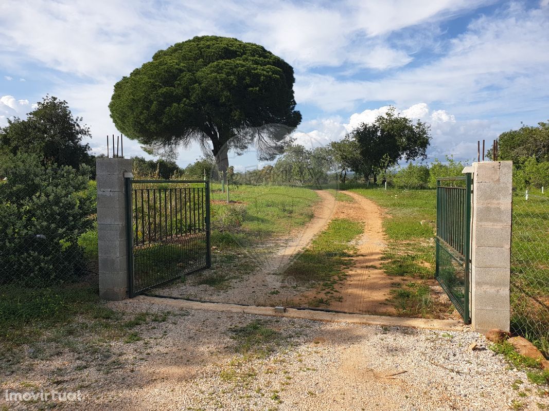 Terreno  para venda