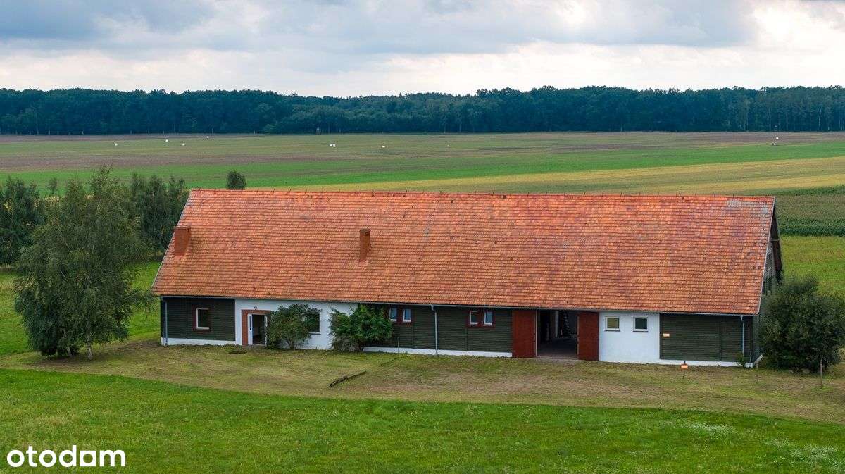 Duża działka +budynek - Stadnina Koni - Pełny obrazek: 5/20