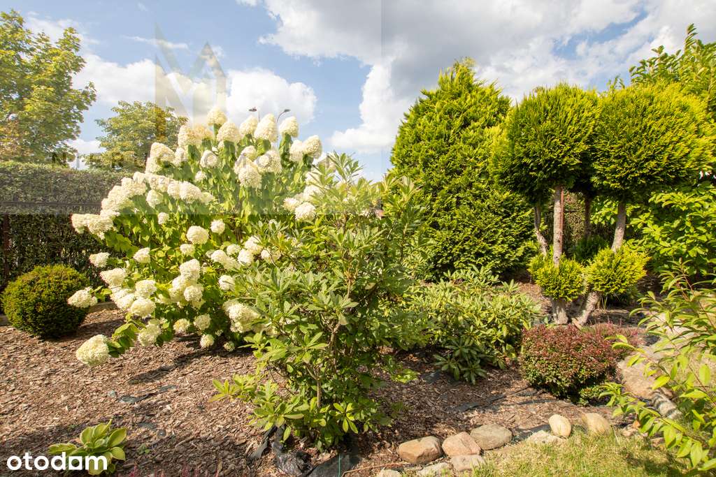 Dom w Lubinie, ul. Ptasia-15