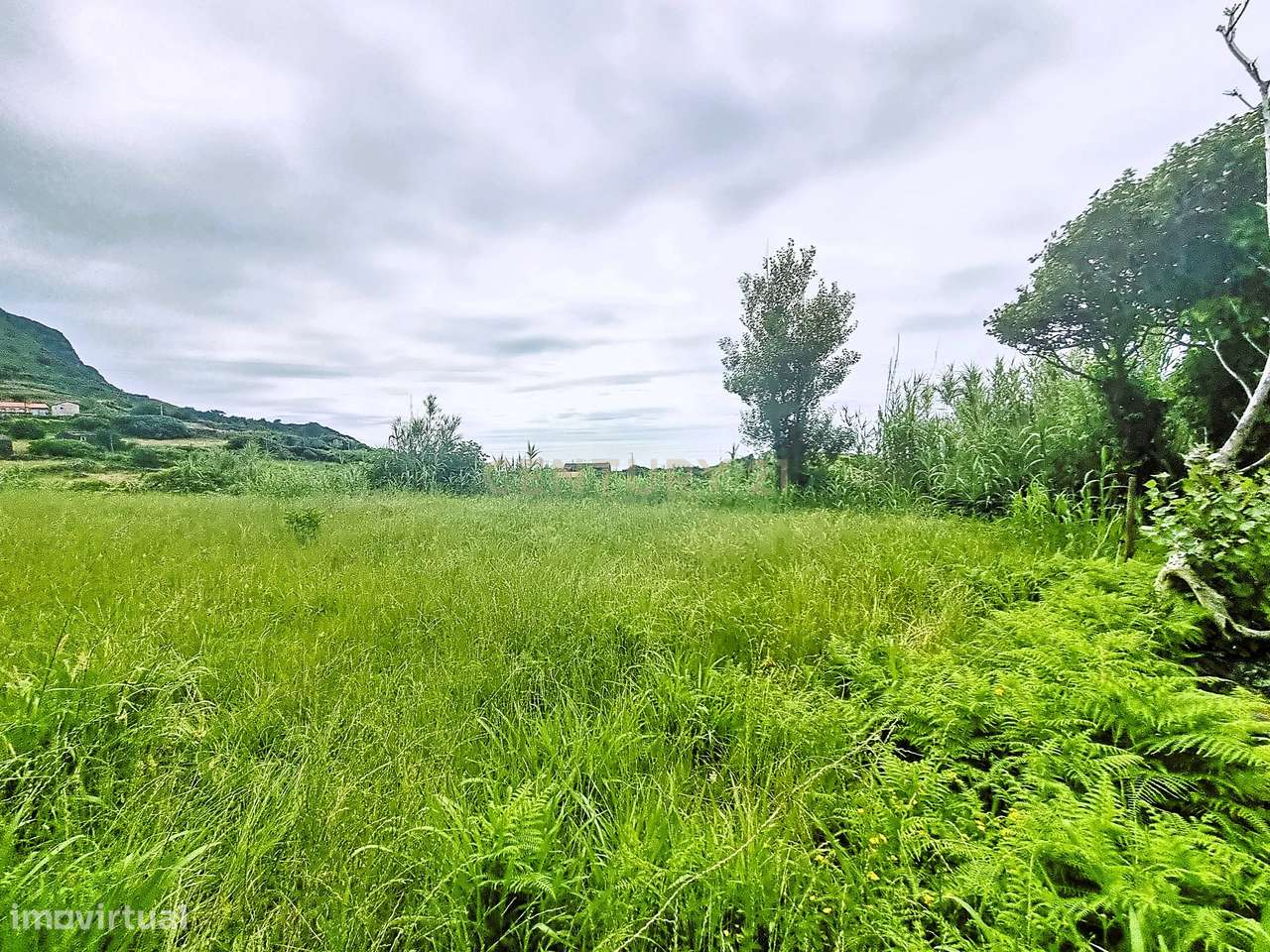 Terreno na Fajãzinha, Ilha das Flores - Grande imagem: 4/11