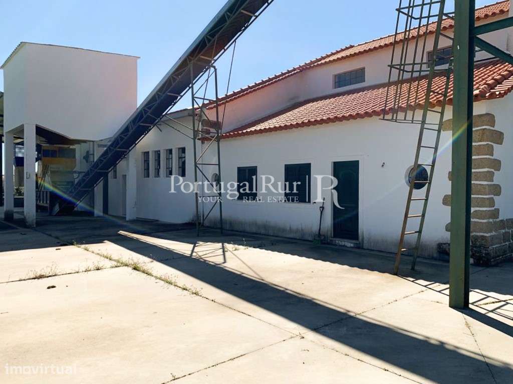 Lagar de azeite completamente renovado - Grande imagem: 4/54