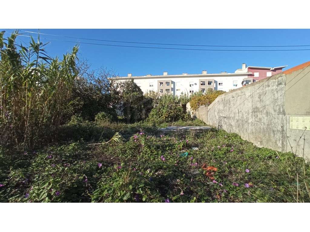 Terreno na Ajuda com área total de 2000 m2., Lisboa - Grande imagem: 4/20