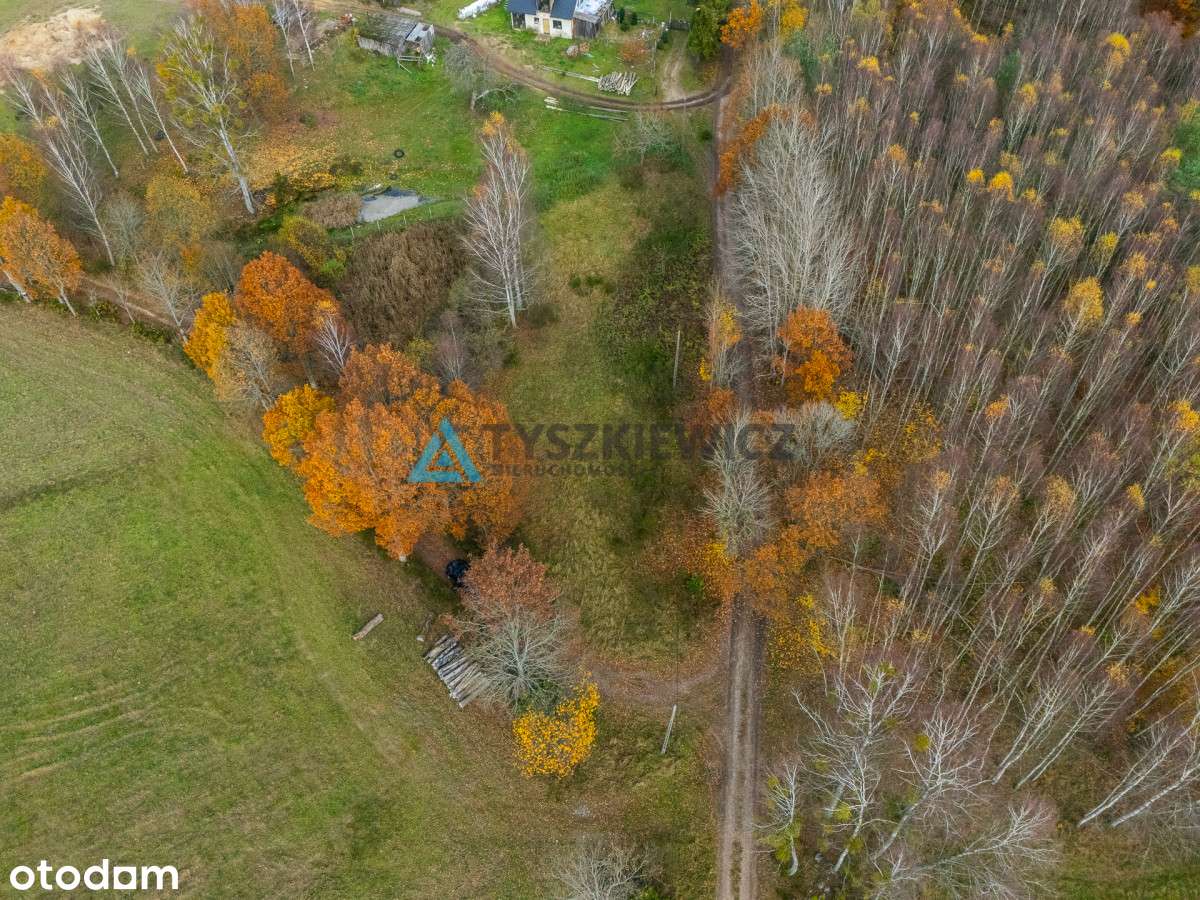 Gotowa do budowy! Działka z warunkami zabudowy - Pełny obrazek: 3/18