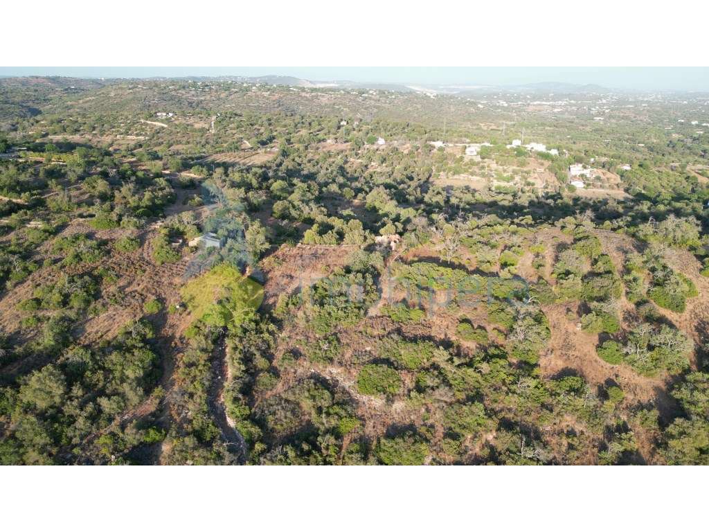 Terreno com ruina para venda na zona do Cotovio, Ferreiras, Albufeira - Grande imagem: 4/14