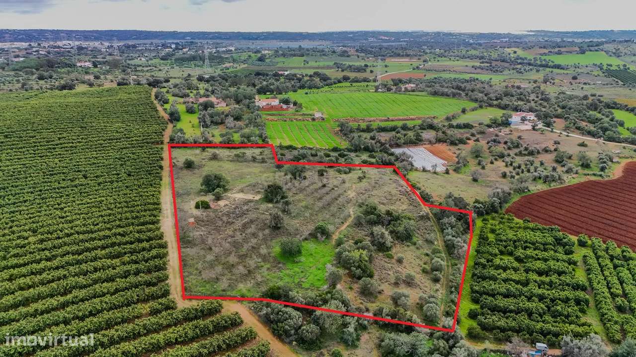 Terreno Rústico com Luz e Água entre Algoz e Tunes - Grande imagem: 2/17