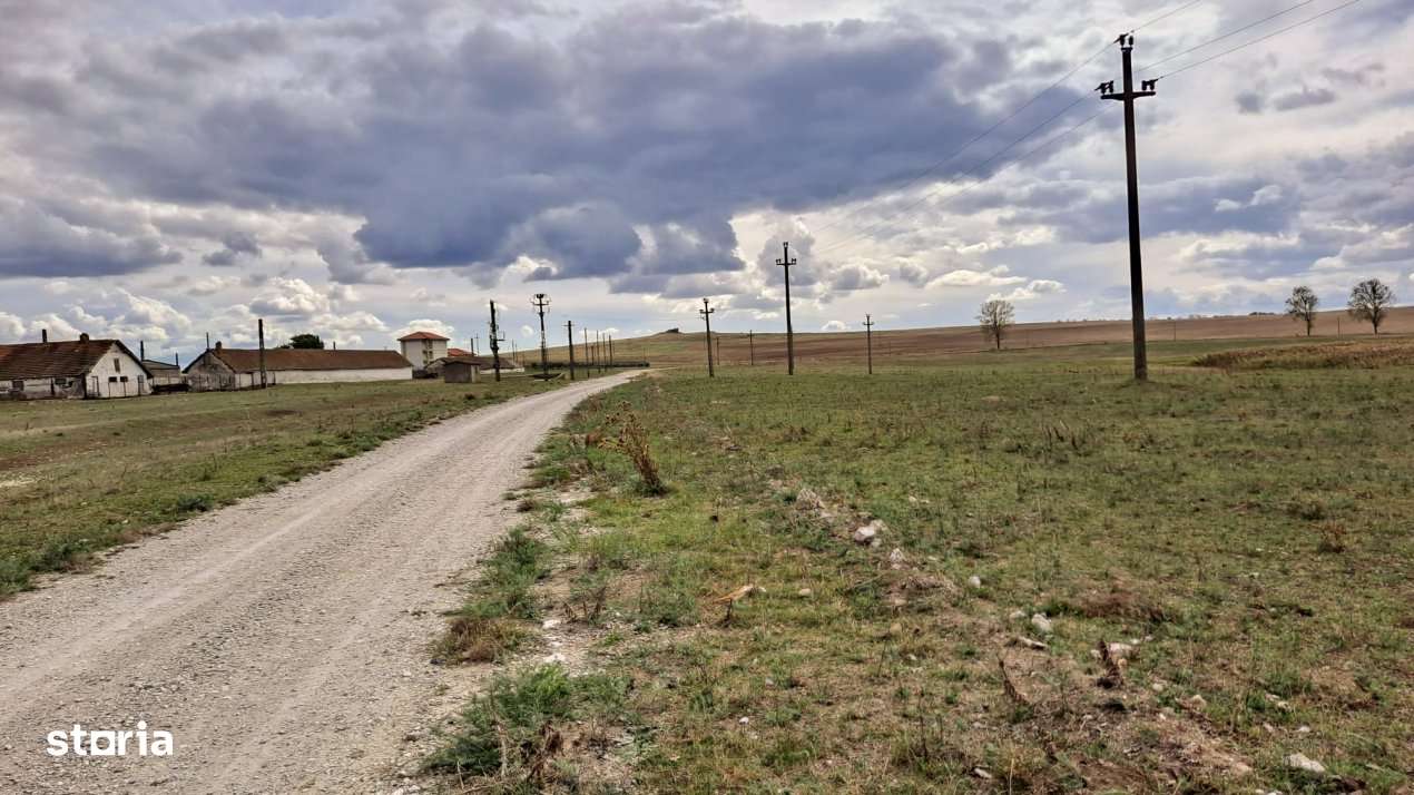 Teren intravilan de 1 Ha, cu iesire la lac, pretabil parc fotovoltaic - Imagine principală: 1/10