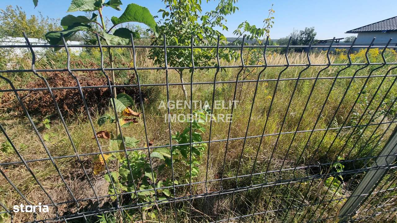 teren, zona Tulbureni, intravilan - Imagine principală: 1/6