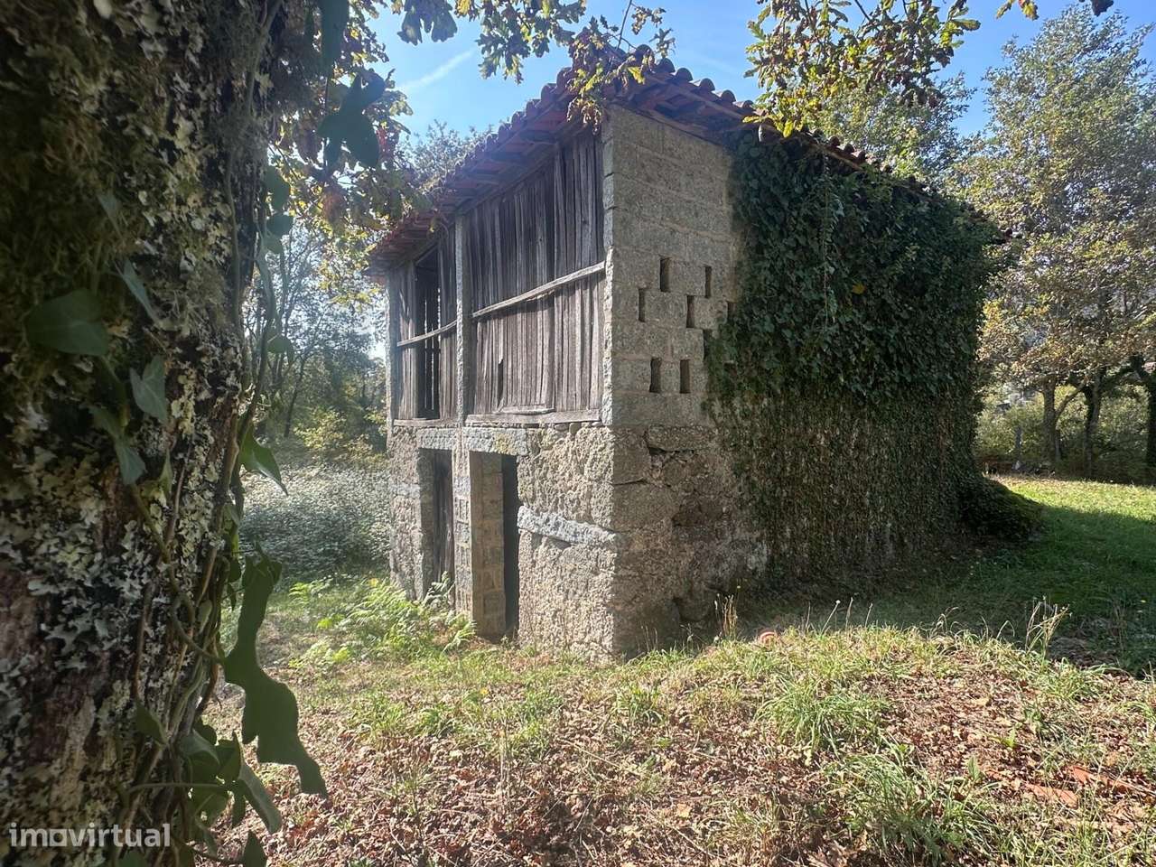 Quinta com 418m2 com Ruína de 48m2 para recuperar I Gondoriz -Terras d - Grande imagem: 4/52