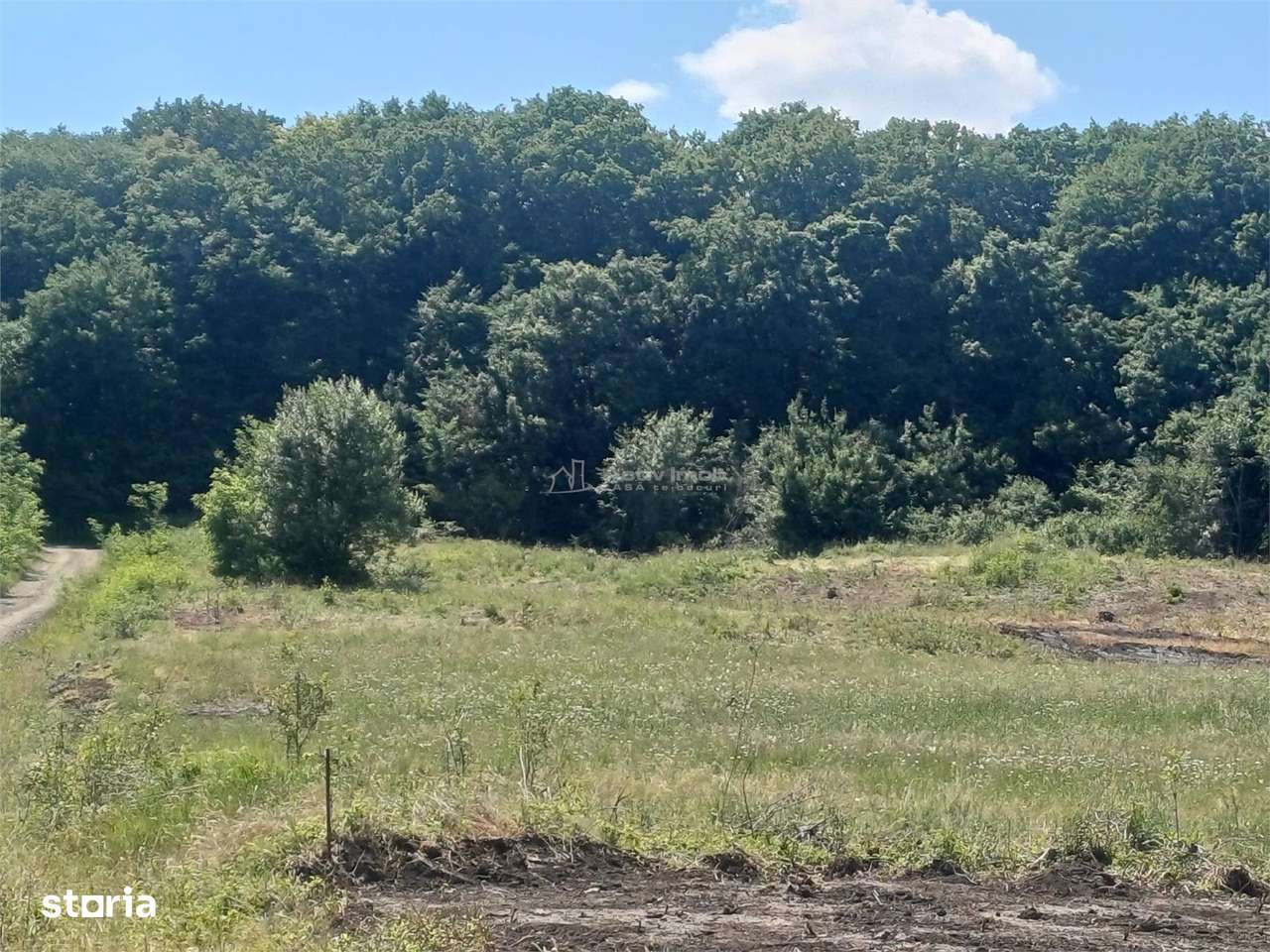 Loturi de 1000 mp de vanzare la Sura Mare - Imagine principală: 2/6
